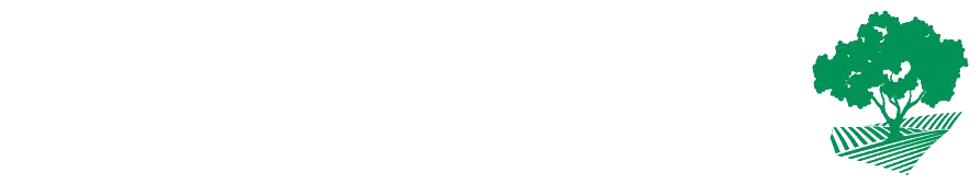 logo main